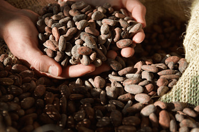 Chocolate en A Coruña en la actualidad - Nace el Bean to Bar