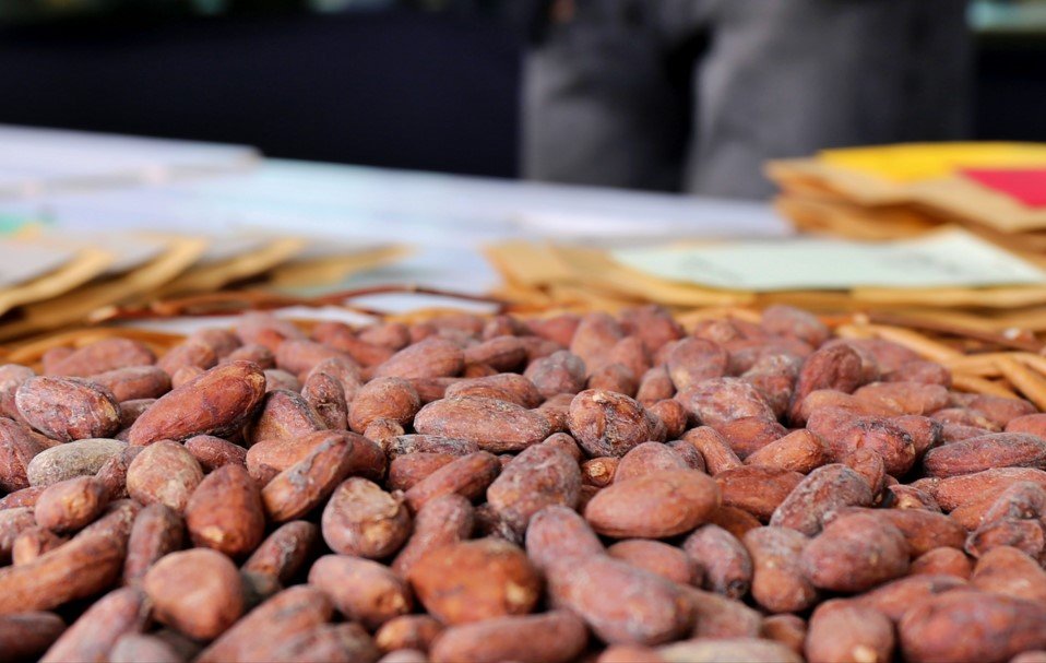 ¿Qué está pasando con el precio del cacao?